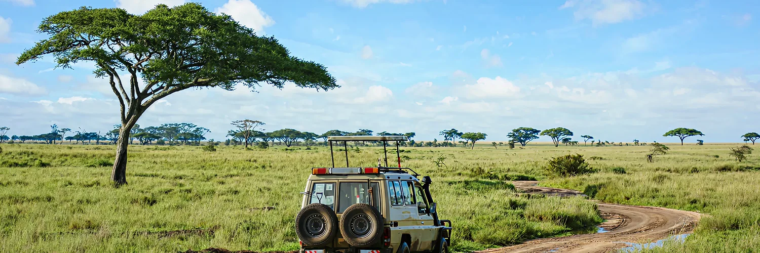 package hotel listing